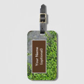 Entodon-Verführung auf grauem Stein Gepäckanhänger (Vorderseite Vertikal)