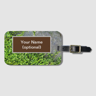 Entodon-Verführung auf grauem Stein Gepäckanhänger