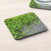 Entodon-Verführung auf grauem Stein Getränkeuntersetzer (Linke Seite)