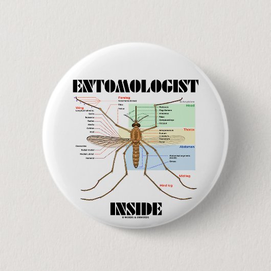 Entomologe-Innere (Moskito-Anatomie) Button (Vorderseite)