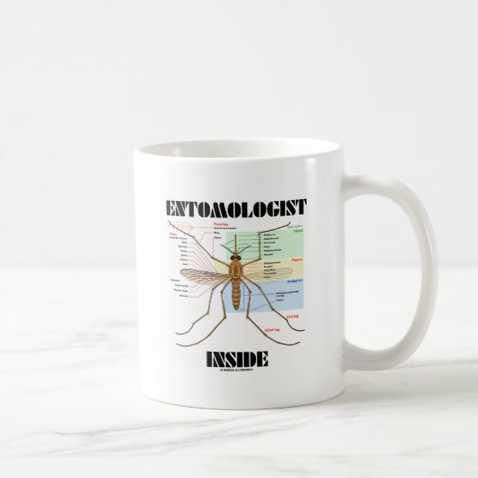 Entomologe-Innere (Moskito-Anatomie) Kaffeetasse (Rechts)