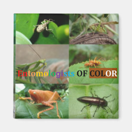 Entomologen von Farbmagneten Magnet