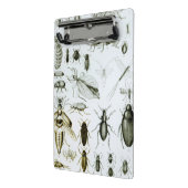 Entomologie-Insekten Mini Klemmbrett (Gewinkelt2)