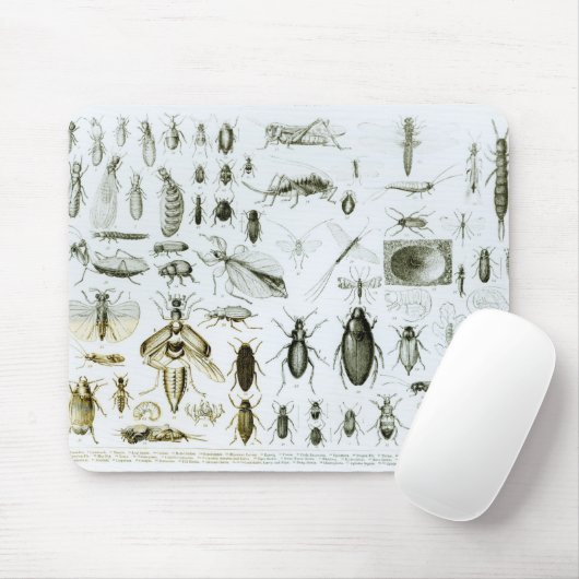 Entomologie-Insekten Mousepad (Mit Mouse)