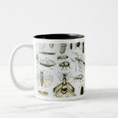 Entomologie-Insekten Zweifarbige Tasse (Links)