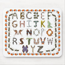 Entomologie-Kreaturen von Bugs und Insekten