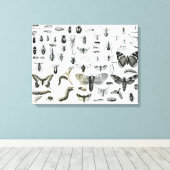 Entomologie Leinwanddruck (Insitu (Holzboden))