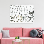 Entomologie Leinwanddruck (Insitu (Wohnzimmer))