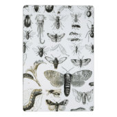 Entomologie Mini Klemmbrett (Rückseite)