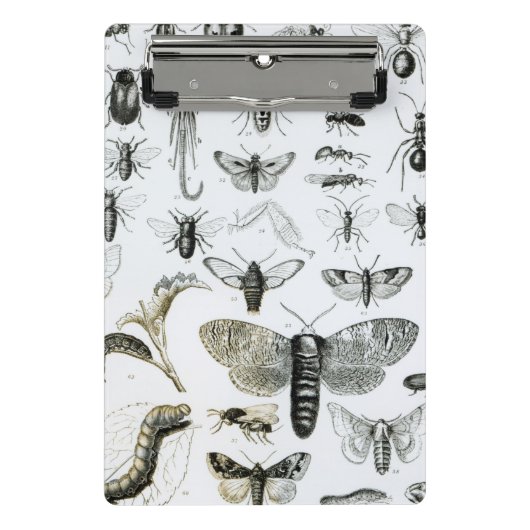 Entomologie Mini Klemmbrett (Vorderseite)