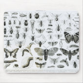 Entomologie Mousepad (Vorne)