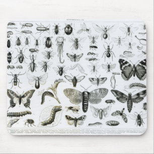 Entomologie Mousepad