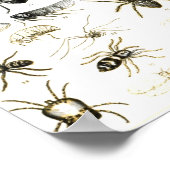 Entomologie, Myriapoda und Arachnida Poster (Ecke)