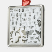 Entomologie Silbernes Ornament (Links)