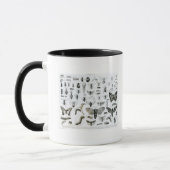 Entomologie Tasse (Links)