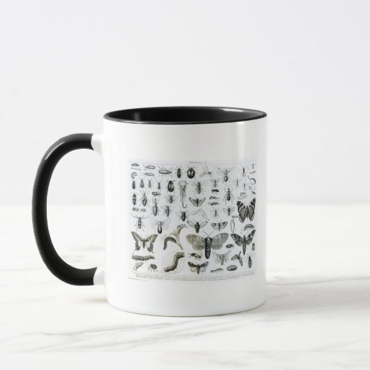 Entomologie Tasse (Links)