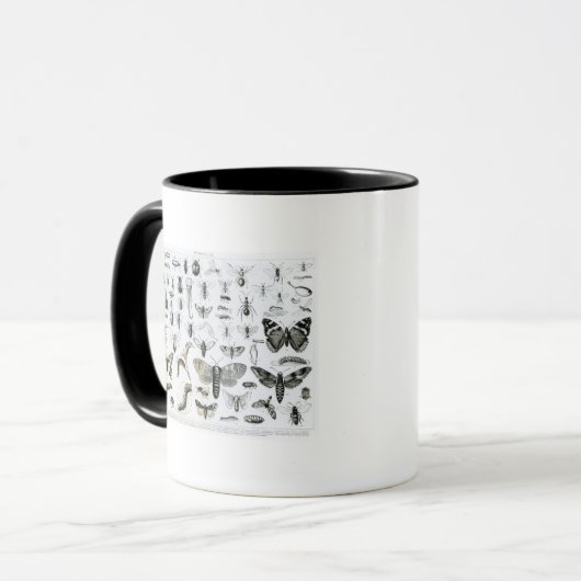 Entomologie Tasse (Vorderseite Links)