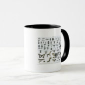 Entomologie Tasse (VorderseiteRechts)