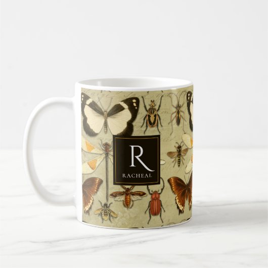 Entomologie Vintage Illustration Altes Papier Rust Kaffeetasse (Links)