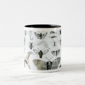 Entomologie Zweifarbige Tasse (Mittel)