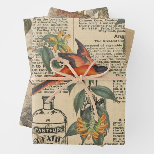 Entpackpapier für Vintage Vogelgrippe Geschenkpapier Set (Beispiel)