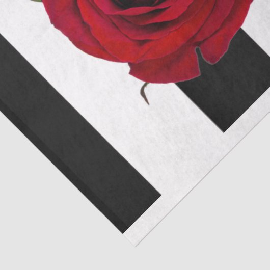 Entpacktes Tissue Paper für 3D-Rose Seidenpapier (Ausschnitt)