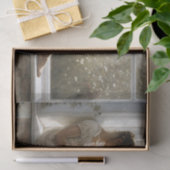 Entpackung für Literaturfenster Seidenpapier (Geschenk)