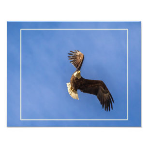 Entschlossenheit Fotodruck