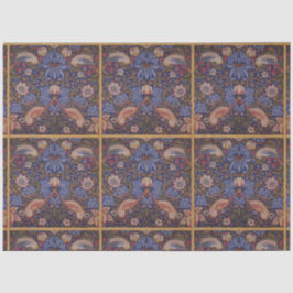 Entschlüsselungs-Tissue-Papiere für die Vogelstruk Seidenpapier