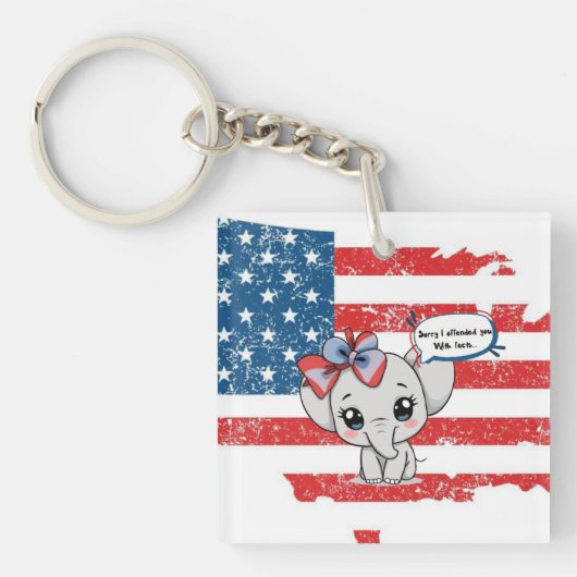 Entschuldige, dass ich dich mit Fakten beleidigt h Schlüsselanhänger (Vorderseite)