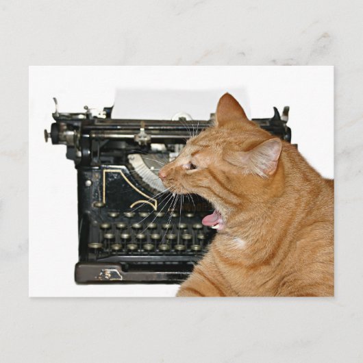 Entschuldige, dass ich nicht geschrieben habe postkarte (Vorderseite)