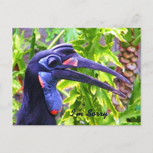 Entschuldige/verzeihe mir/ Vermisste You_Postcard Postkarte (Vorderseite)