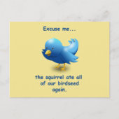 Entschuldigen Sie...Das Eichhörnchen hat all unser Postkarte (Vorderseite)