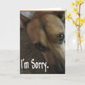 Entschuldigen Sie den traurigen Hund Karte (Gelbe Blume)