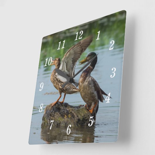 Entschuldigen Sie die Uhr (Winkel)