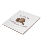 Entschuldigen Sie...Ihr Vogelzuführung ist leer Fliese (Seite)