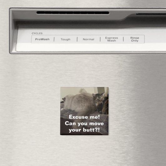 Entschuldigen Sie? Kannst du deinen Hintern bewege Magnet (In Situ (Geschirrspüler))