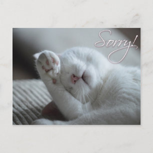 Entschuldigung Cat Funny Paw Niedlicher Tiere Postkarte