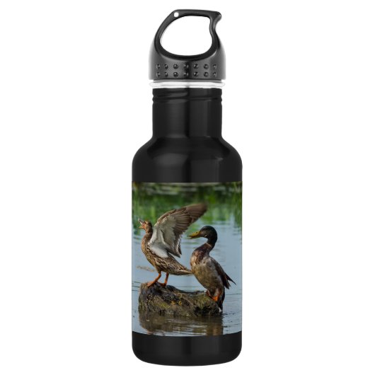 Entschuldigung Edelstahlflasche (Vorderseite)