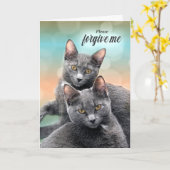 Entschuldigung für Katze Lover Two Grey Cats Karte (Gelbe Blume)