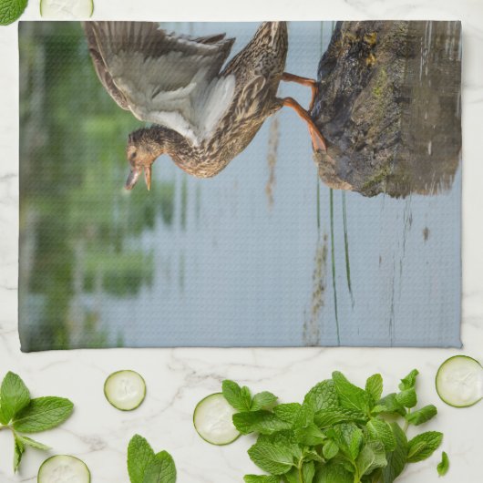 Entschuldigung Geschirrtuch (Gefaltet)