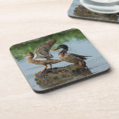 Entschuldigung Getränkeuntersetzer (Linke Seite)