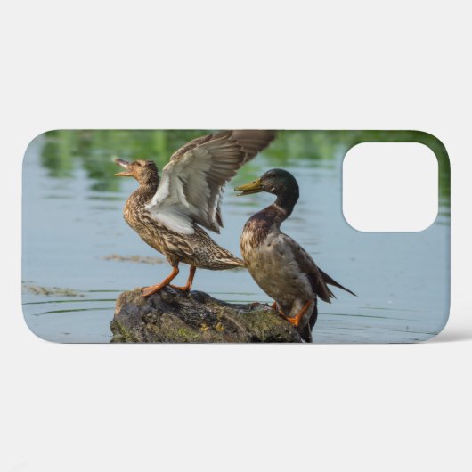 Entschuldigung iPhone Case (Rückseite (Horizontal))