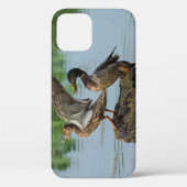 Entschuldigung iPhone Case (Rückseite)