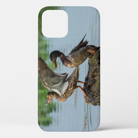 Entschuldigung iPhone Case (Rückseite)