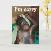 Entschuldigung Karte (Gelbe Blume)