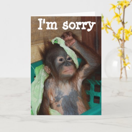 Entschuldigung Karte (Gelbe Blume)