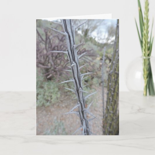 Entschuldigung Karte (Vorderseite)