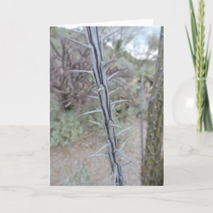 Entschuldigung Karte