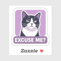 Entschuldigung? Katzen-Meme – Freche lustige Katze